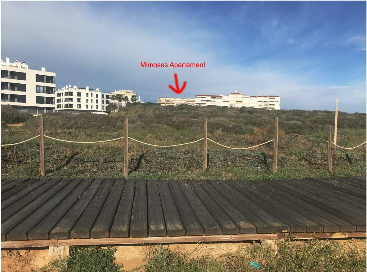 Mimosa Apartment กวาร์ดามาร์เดลเซกูรา ภายนอก รูปภาพ